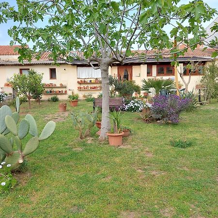 Garden Rooms Olbia Buitenkant foto