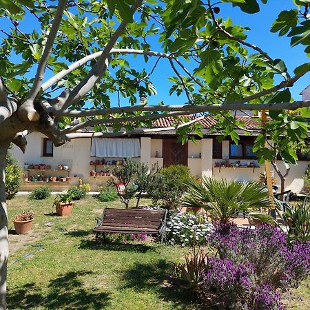 Garden Rooms Olbia Buitenkant foto